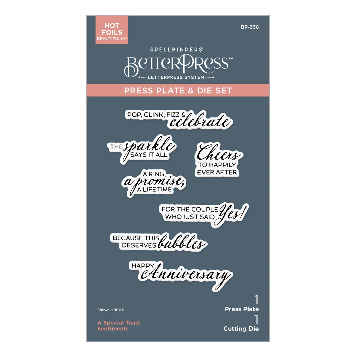 A Special Toast Sentiments BetterPress Plate & Die Set - Image 12