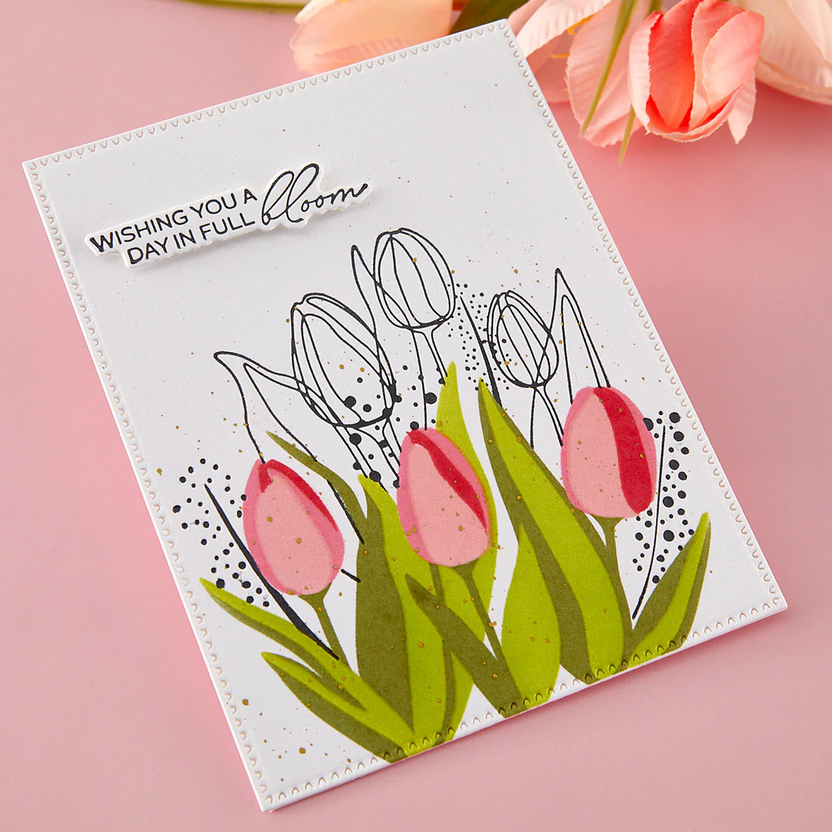 All-Clubs Crate Membership - Image 21