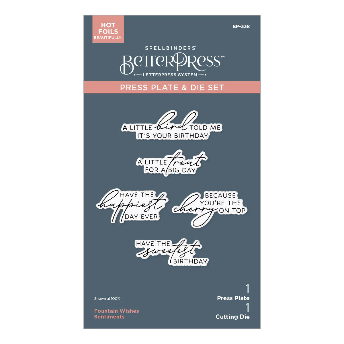 Fountain Wishes Sentiments BetterPress Plate & Die Set - Image 9